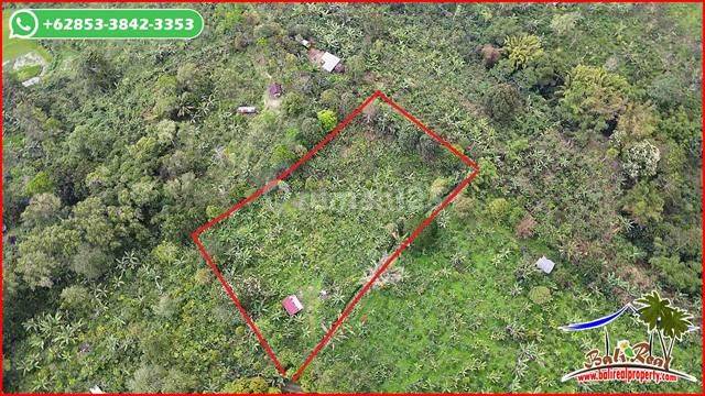 4,600 M2 With Mountain And Green Lush In Pupuan Tabanan 2