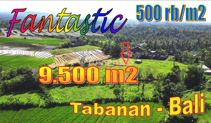 View Sawah Dan Gunung 9,500 M2 di Selemadeg Timur Tabanan 1