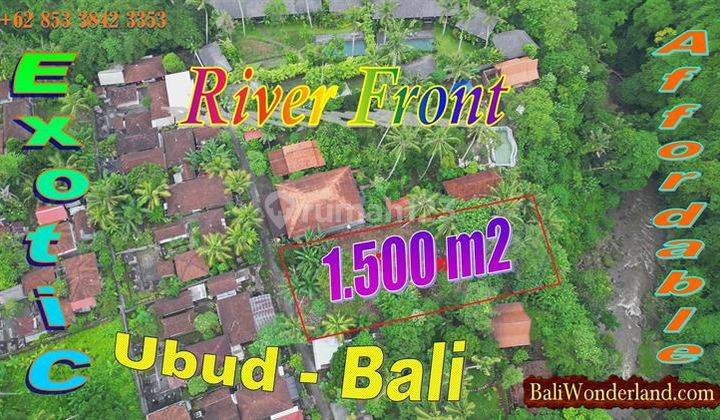 Affordable Land For Sale 1,500 Sqm In Sukawati Ubud 1