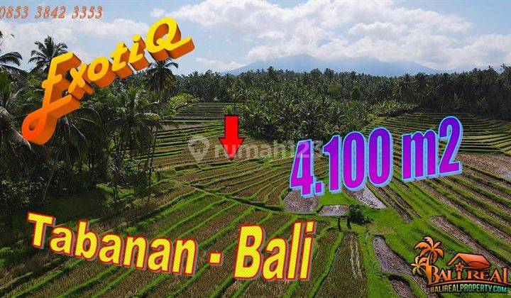 4,100 M2 With Rice Field And Mountain View In Penebel Tabanan 1