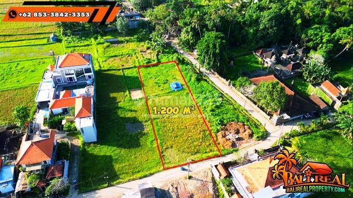 Dijual Tanah Kering Bekas Sawah 12 Are Pinggir Jalan di Sukawati 2