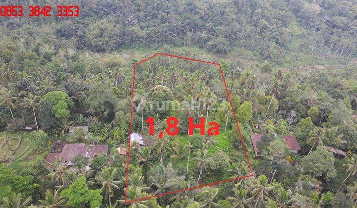 18,000 M2 With Mountain, Rice Field And Jungle View In Penebel 2