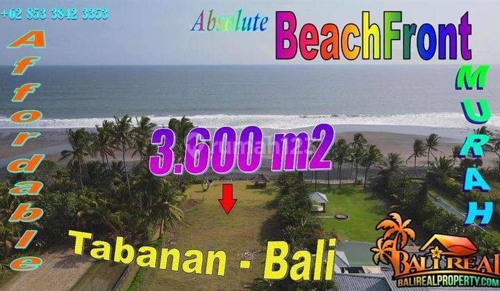 Land for Sale Ready to Build 36 Are Beachfront in Kerambitan 1