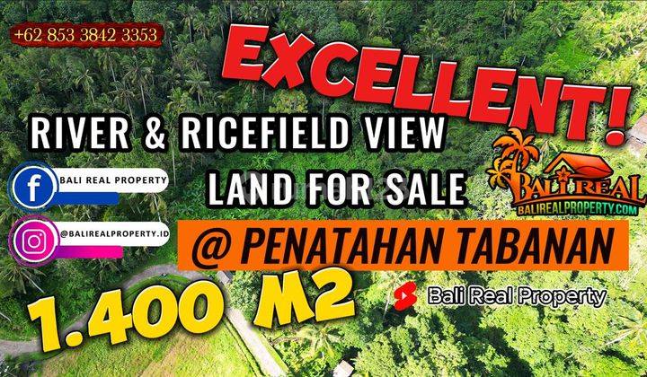 1,400 M2 Semi Kotak Potensial Untuk Hunian di Penebel Tabanan 1