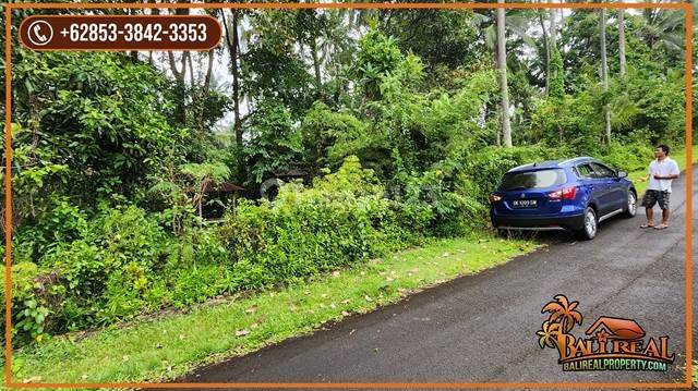 Under Market Price Land Sale 8,200 Sqm In Jembrana Bali 2