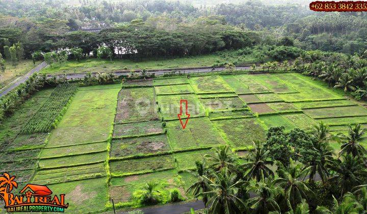 Land For Sale 1,700 M2 Near To Telaga Tunjung Dam In Penebel 2