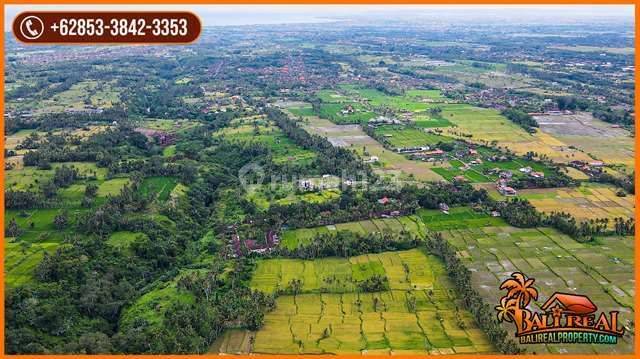 Affordable Land Sale 50,000 sqm in Sukawati Ubud for Investment 2