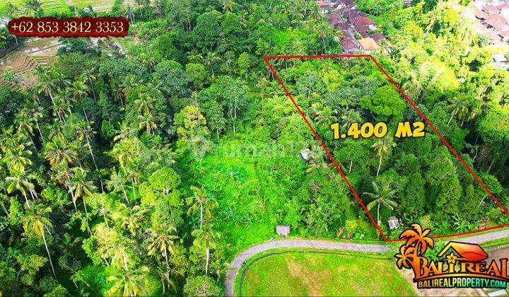 1,400 M2 Semi Kotak Potensial Untuk Hunian di Penebel Tabanan 2