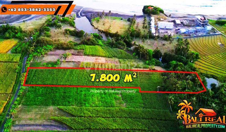 Under Market Price 7,800 Sqm In Selemadeg Timur, Tabanan 2