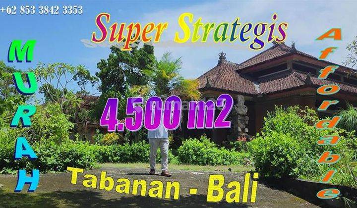 Under Market Price 4,500 Sqm In Kediri Tabanan 1