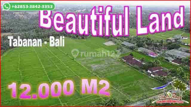 Affordable 12,000 Sqm Land For Sale In Kerambitan Tabanan 1