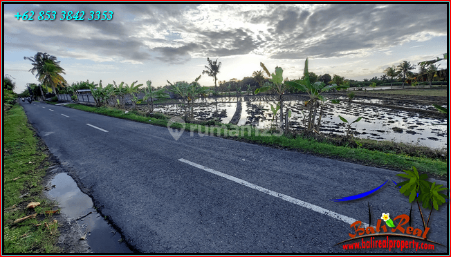 Under Market Price 490 Sqm Flat Land Countour In Tabanan 2