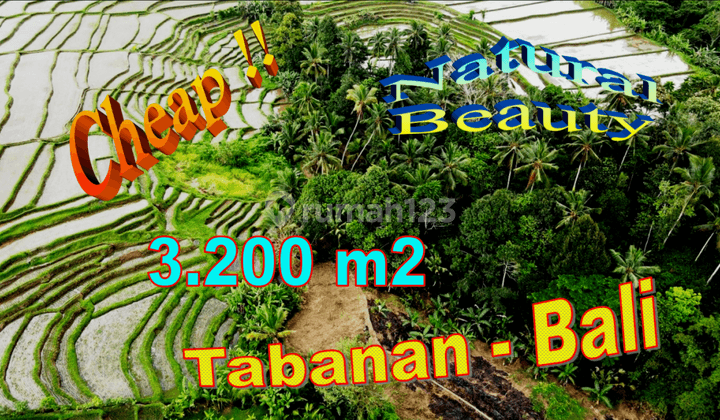 3,200 M2 With Rice Field And Mountain View In Penebel 1