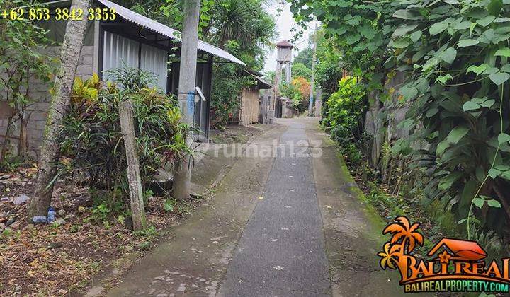 Tanah Hak Milik Kawasan Sukawati 1,500 M2 Untuk Villa 2