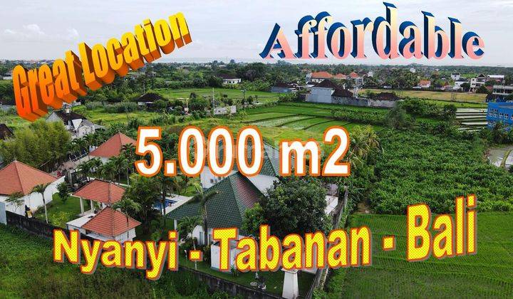 Exotic Yet Affordable 50 Are Land Sale In Kediri Tabanan 1