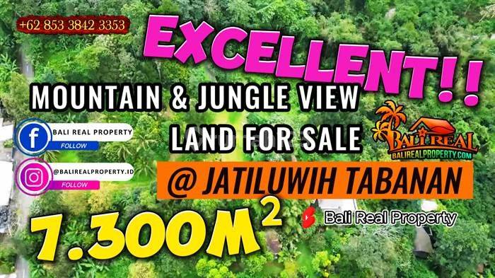 Lahan Kebun Dijual 73 Are di Penebel View Gunung Batukaru 1