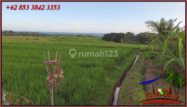 1,900 M2 Flat Garden Land For Sale Relatively Cheap in Selemadeg 2