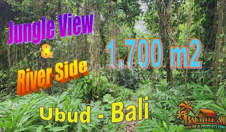 1,700 M2 With By The River With Jungle View In Sukawati Ubud 1