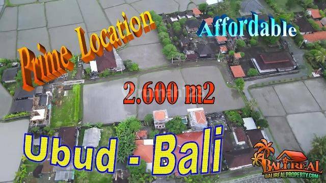 Roadside 2,680 M2 Rice Field Land Ubud Area Lodtunduh 1