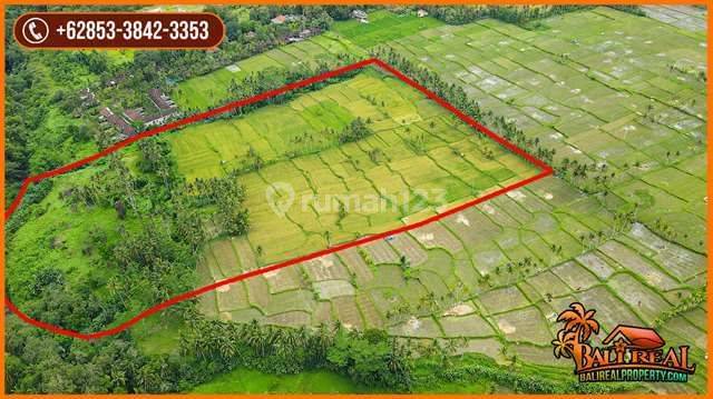 50,000 M2 With Rice Fields, Jungle And River View In Sukawati 2