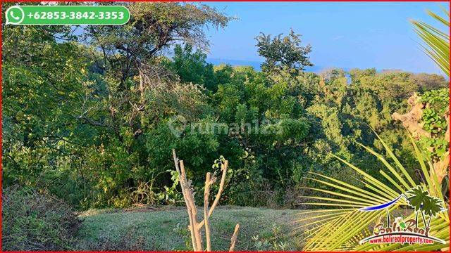 For Sale 6,600 M2 Sea and Mountain View in Manggis, Karangasem 2