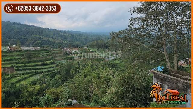 Langka, Dijual Murah 280 Are View Gunung Dan Laut 2