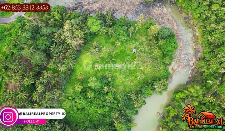 Potential 10,200 M2 of Private Road Access Land in Tabanan 2