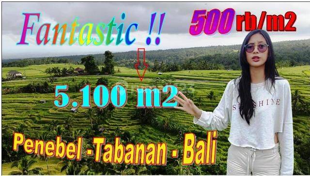 View Laut, Sawah Dan Gunung 5,100 M2 di Penebel Tabanan 1