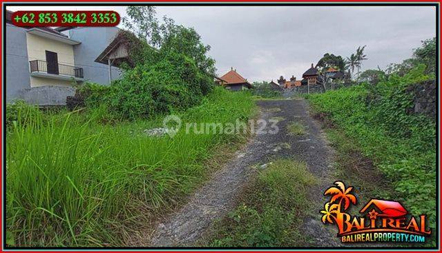 Murah Lingkungan Restaurant Pinggir Jalan Utama di Kemenuh 2