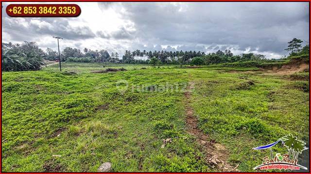 5,000 M2 With Rice Field And Mountain View In Selemadeg Timur 2