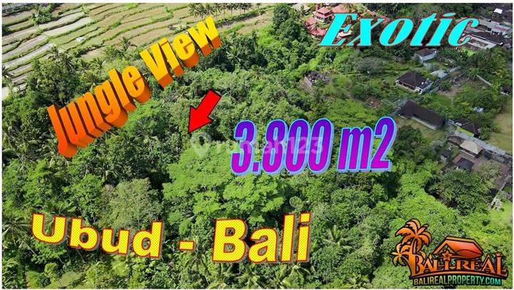 Under Market Price 3,800 Sqm In Ubud Tampaksiring 1