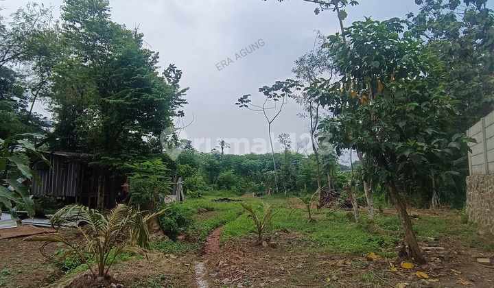 Tanah Komersil Pinggir Jalan Raya. Dekat Kampus I P B