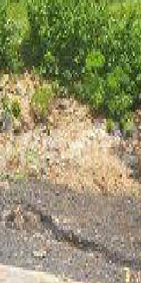 Land For Sale In Ungasan South Kuta Near GWK Bali