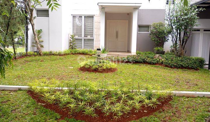Cluster De Cajuputi De Park Mewah Di Jalan Boulevard 2