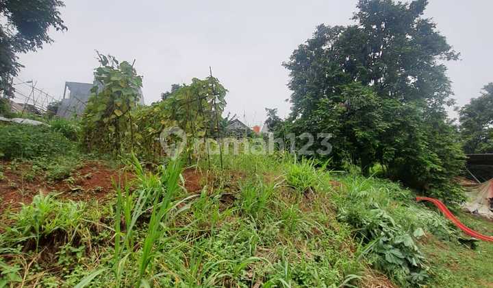 Tanah Padat Lok Strategis Dan Murah Di Tanah Baru Depok