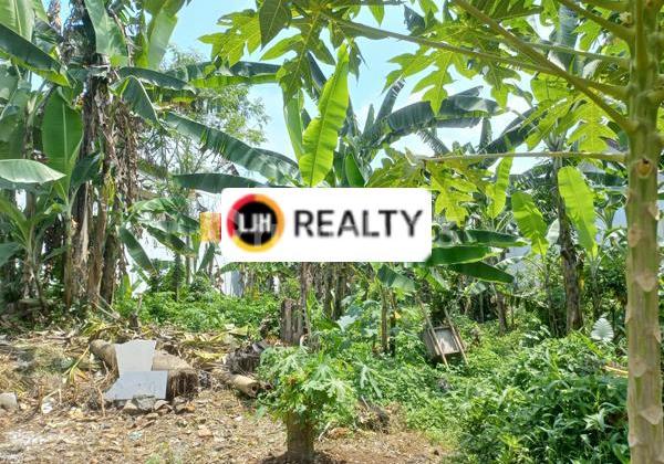 Kavling di Ace Srondol Semarang. Harga Rp. 7.5Jt/M2 1