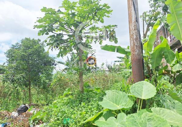 Kavling Ds Piyoto Tegal Gintungan Bandungan Jawa Tengah 2