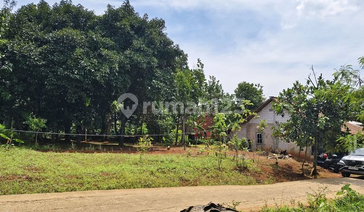 Tnh Murah Di Hoek,kp.waru Jaya,parung,diblakang Pasar Parung,sebelum Sekolah Mts Yapin 54,sebelum Clustee Green Land,lingkungan Disekitar Sdh Banyak Cluster² Baru Tnh Murah Di Hoek,kp.waru Jaya,parung,diblakang Pasar Parung,sebelum Sekolah Mts Yapin 54,sebelum Clustee Green Land,lingkungan Disekitar Sdh Banyak Cluster² Baru