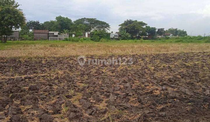 Tanah Dijual Murah Di Sumobito, Jombang Kota 2