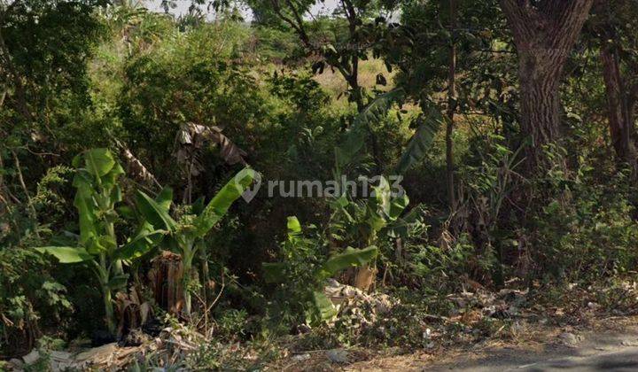 Dijual Tanah Kav Di Cerme Gresik 2