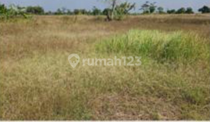 Dijual Tanah Industri Raya Mantup Lamongan  2