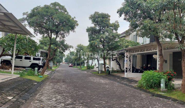 Rumah Disewakan Pelican Hill Citraland 2