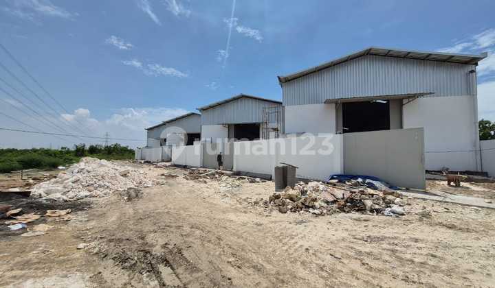 For Rent 4 Units of Warehouse New Romokalisari