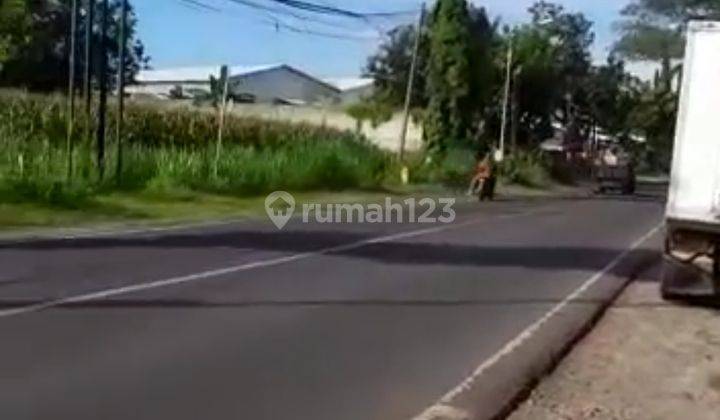 Dijual Tanah Strategis Nol Jalan Raya Daendles Lamongan 1