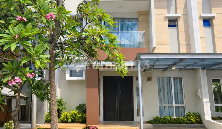 Golf Island Furnished House [8X15m]