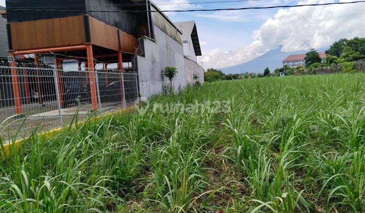 Tanah Murah Sekali Dijual Dibawah Njop di Malang Dekat Universitas 6