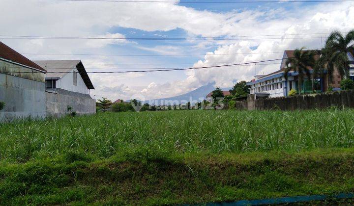 Tanah Murah Sekali Dijual Dibawah Njop di Malang Dekat Universitas 7