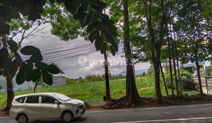 Tanah Murah Sekali Dijual Dibawah Njop di Malang Dekat Universitas 11