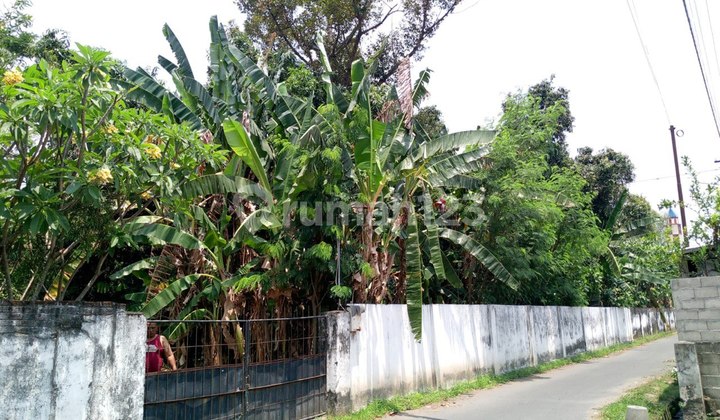 Tanah Darat Bebas Banjir Di Plemahan Kediri Jawa Timur Tanah Darat Bebas Banjir Di Plemahan Kediri Jawa Timur