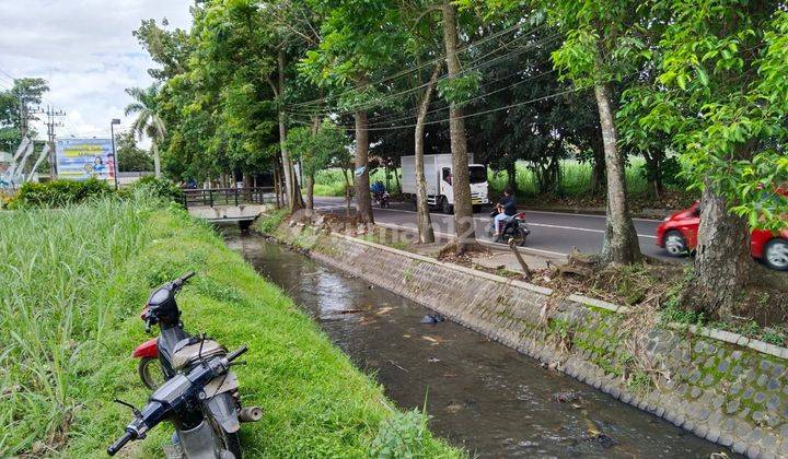 Tanah Murah Sekali Dijual Dibawah Njop di Malang Dekat Universitas 16